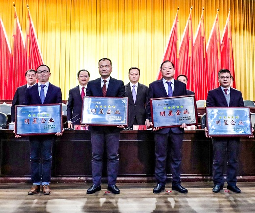 集團公司獲市重大貢獻(xiàn)獎