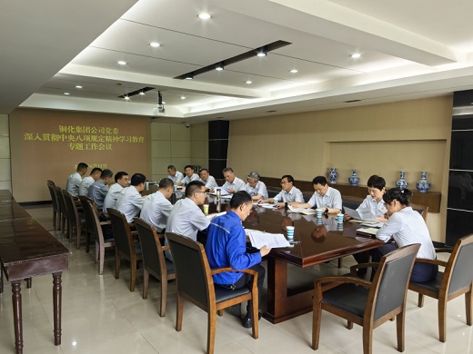 集團(tuán)公司黨委召開專題工作會議對整治違規(guī)吃喝問題進(jìn)行再強(qiáng)調(diào)再部署